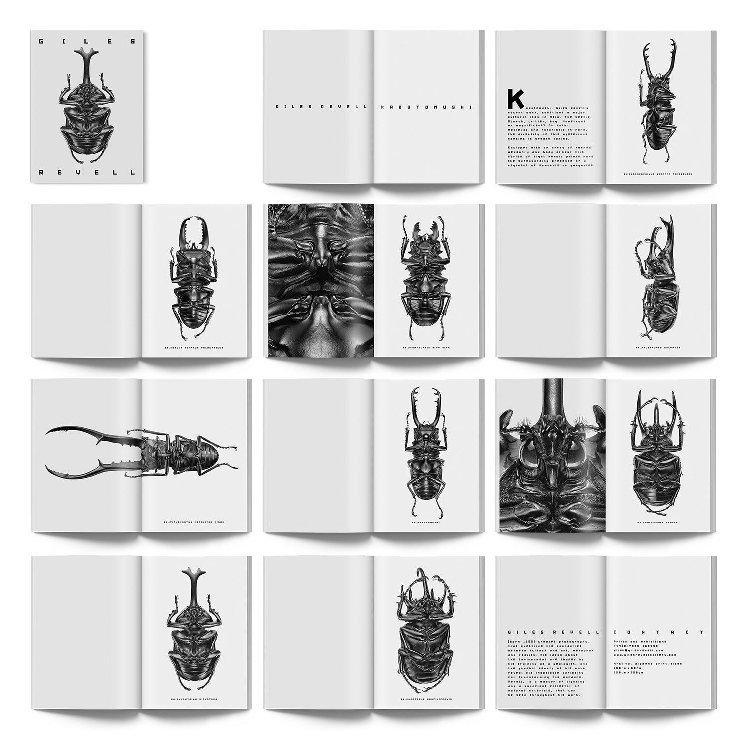 Giles Revell × Frost*publishing: Kabutomushi