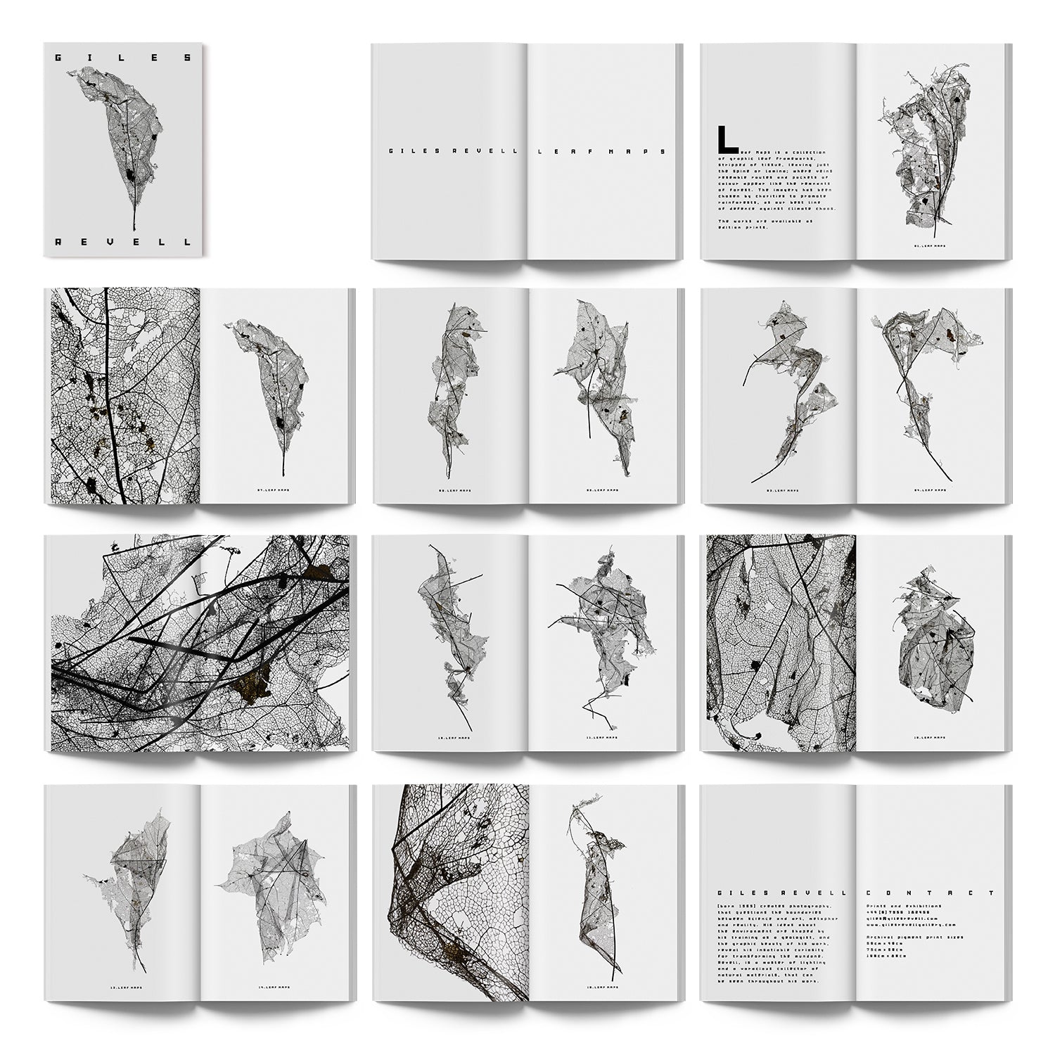 Giles Revell × Frost*publishing: Leaf Maps